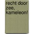 Recht door zee, Kameleon!