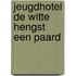 Jeugdhotel de witte hengst een paard