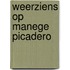 Weerziens op manege picadero