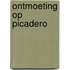 Ontmoeting op picadero