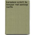 Kameleon schrift 3e leerjaar met aanloop rechts