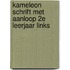Kameleon schrift met aanloop 2e leerjaar links