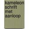 Kameleon schrift met aanloop by N. Pappijn