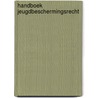 Handboek jeugdbeschermingsrecht by Johan Put