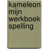 Kameleon mijn werkboek spelling by Erik Billiaert