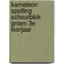 Kameleon spelling scheurblok groen 3e leerjaar