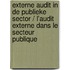Externe audit in de publieke sector / l'Audit externe dans le secteur publique