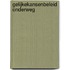 Gelijkekansenbeleid onderweg