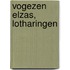 Vogezen Elzas, Lotharingen