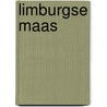 Limburgse Maas by Unknown