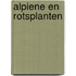 Alpiene en rotsplanten