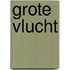 Grote vlucht