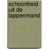 Schoonheid uit de lappenmand