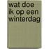 Wat doe ik op een winterdag