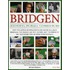 Bridgen