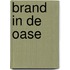 Brand in de oase