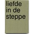 Liefde in de steppe
