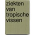 Ziekten van tropische vissen