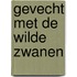 Gevecht met de wilde zwanen