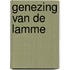 Genezing van de lamme