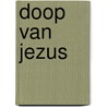 Doop van jezus door Cocagnac