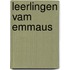 Leerlingen vam emmaus