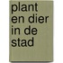 Plant en dier in de stad