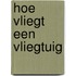 Hoe vliegt een vliegtuig