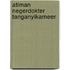 Atiman negerdokter tanganyikameer