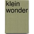 Klein wonder