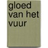 Gloed van het vuur