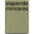 Slapende minnares