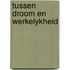 Tussen droom en werkelykheid