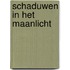 Schaduwen in het maanlicht