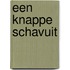 Een knappe schavuit