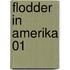 Flodder in amerika 01