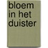Bloem in het duister