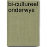 Bi-cultureel onderwys by Haesendonckx