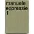 Manuele expressie 1