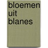 Bloemen uit blanes door Meerhaeghe