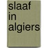 Slaaf in Algiers