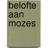 Belofte aan mozes door Swartenbroekx