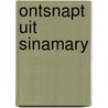 Ontsnapt uit sinamary by Marc Briels