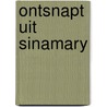 Ontsnapt uit sinamary door Marc Briels