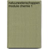 Natuurwetenschappen module chemie 1 by K. Bruggemans