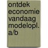 Ontdek economie vandaag modelopl. a/b by Marc Buelens