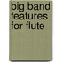Big Band Features for Flute