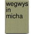 Wegwys in micha