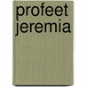 Profeet jeremia by Willem Aalders