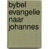 Bybel evangelie naar johannes
